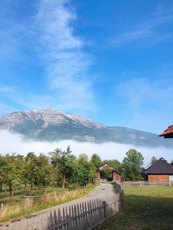 Visitor Yard Bed & Breakfast Plav Luaran gambar